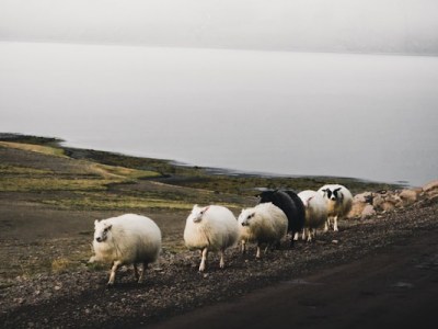 Why Use AWS Lambda Layers? Advantages and Considerations